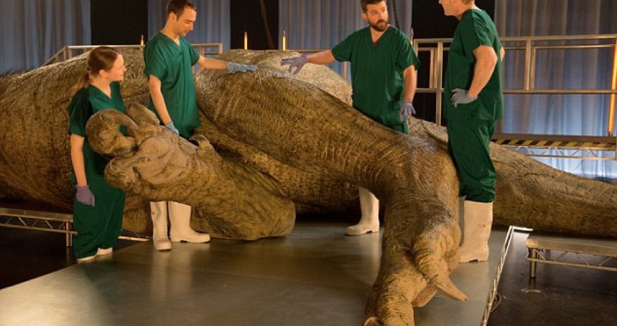 Scientists to carry out 'autopsy' on life-sized T-Rex replica to solve mysteries of huge predator