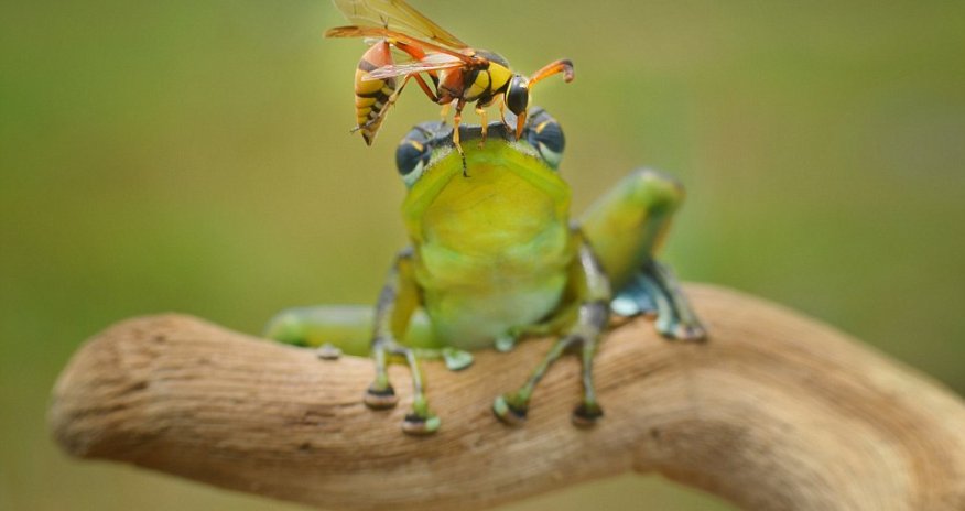 Don't move a muscle!