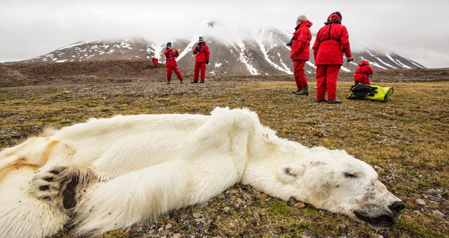 Dramatic photos from around the globe