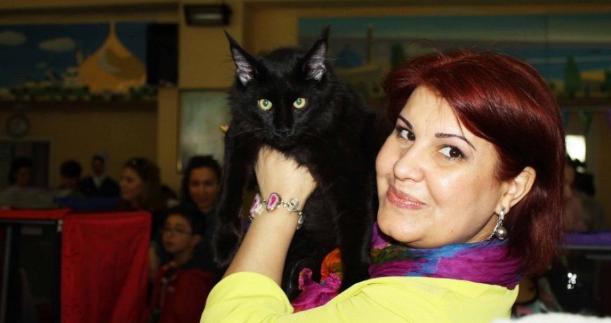 Выставка кошек в Баку – РЕПОРТАЖ