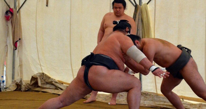 The life of a sumo wrestler