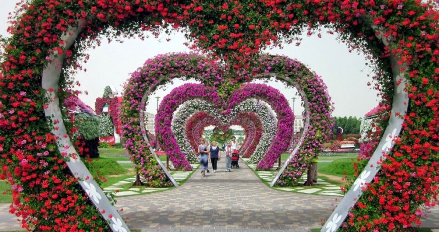 Səhra çiçəyi: Möcüzələr Bağı - FOTOLAR