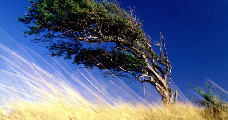 Baku weather forecast for June 6