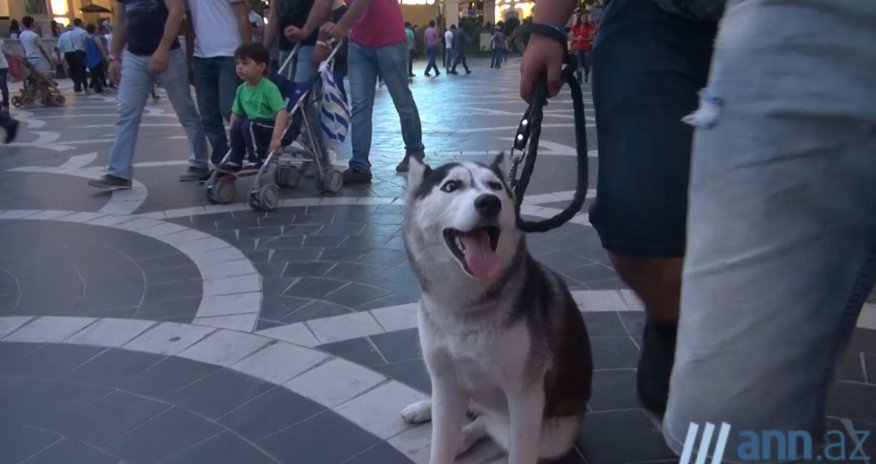 В ОБЪЕКТИВЕ: 