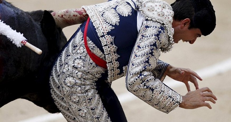 Matador suffers a ripped testicle when he ...