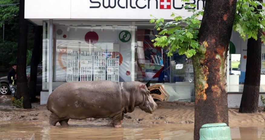 Photos of the Day: June 14