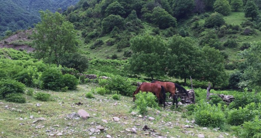 Красоты Илису -  ФОТО