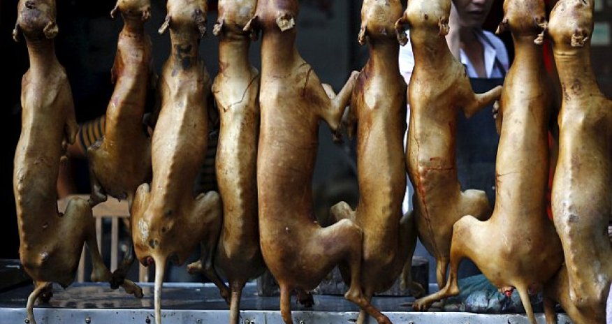 Secret cameras capture preparations for China's barbaric annual meat festival