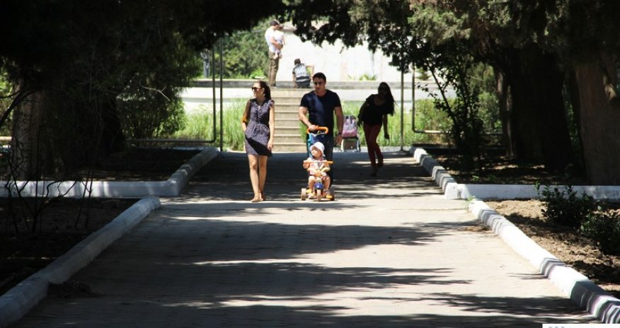 Бакинский ботанический сад под угрозой