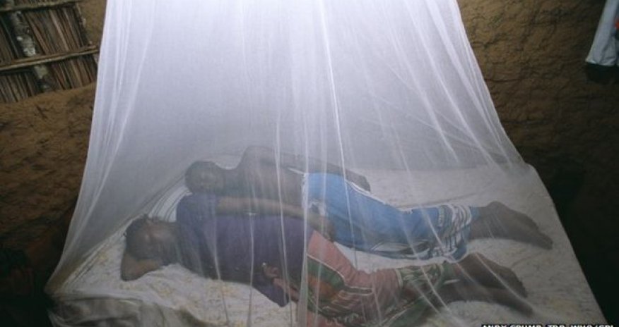 Ebola crisis in Guinea 'has set back malaria fight'