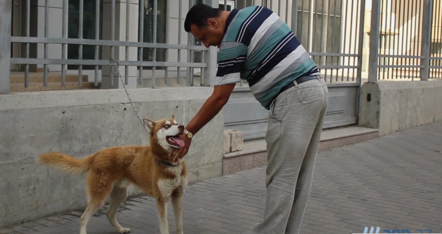 В ОБЪЕКТИВЕ: Как приобрести  