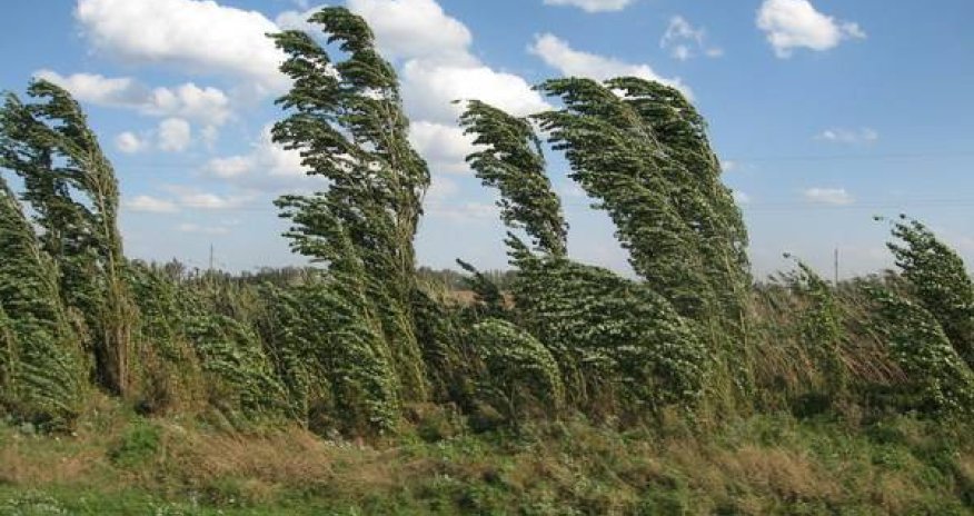 Baku weather forecast for July 1