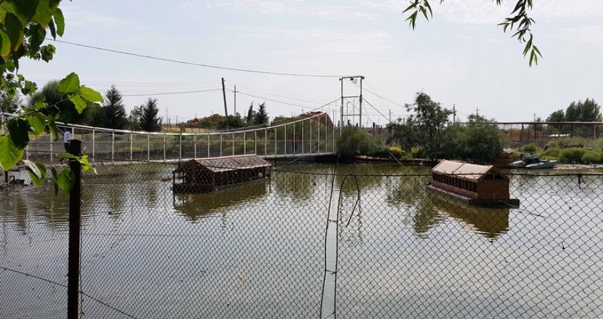 Bakı-Qazax şossesində mini-zoopark – REPORTAJ