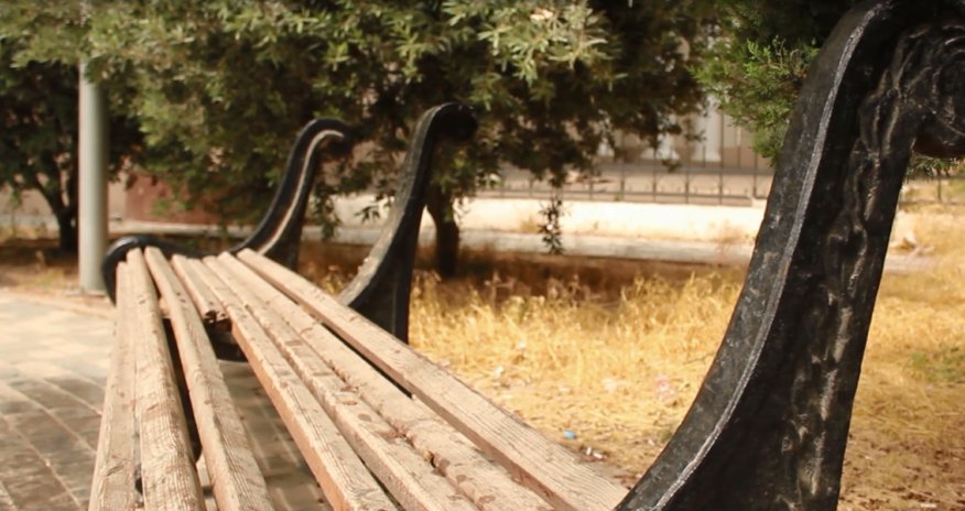 В ОБЪЕКТИВЕ: Вандалы среди нас