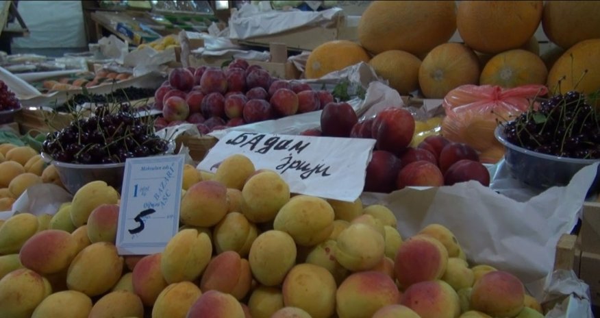 В ОБЪЕКТИВЕ: 