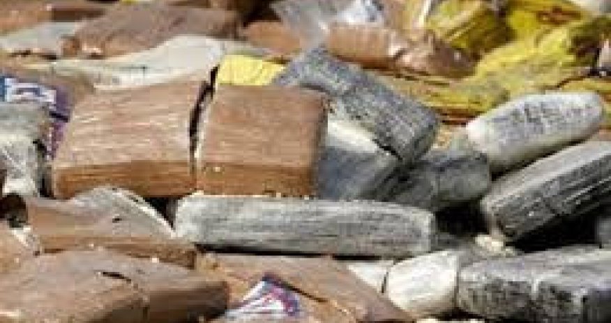 Azərbaycanda 10 min kiloqrama yaxın narkotik maddə məhv edildi