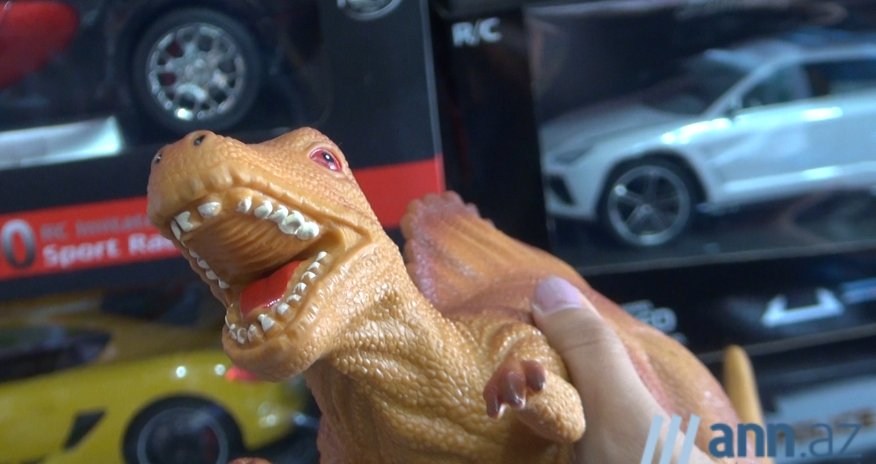 В ОБЪЕКТИВЕ ANN.Az: Опасные игрушки 