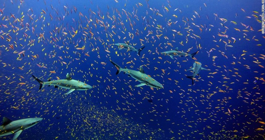 10 of the world's most beautiful new nature reserves