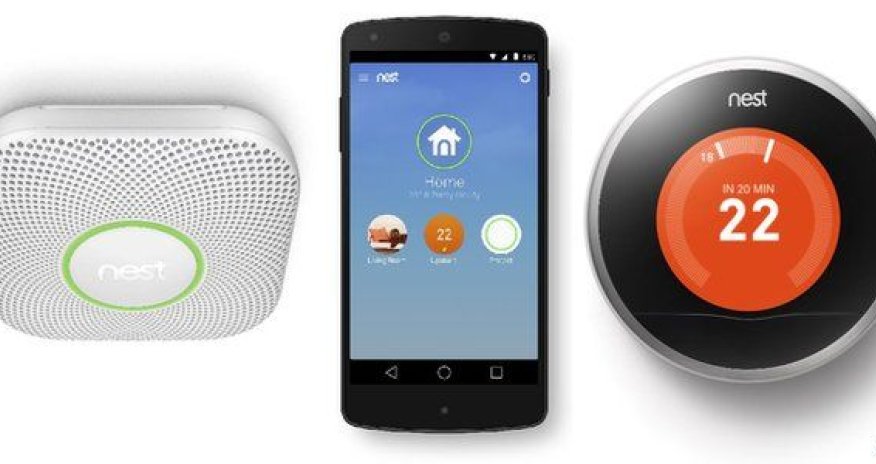 What will Google's $3.2bn guru do next?