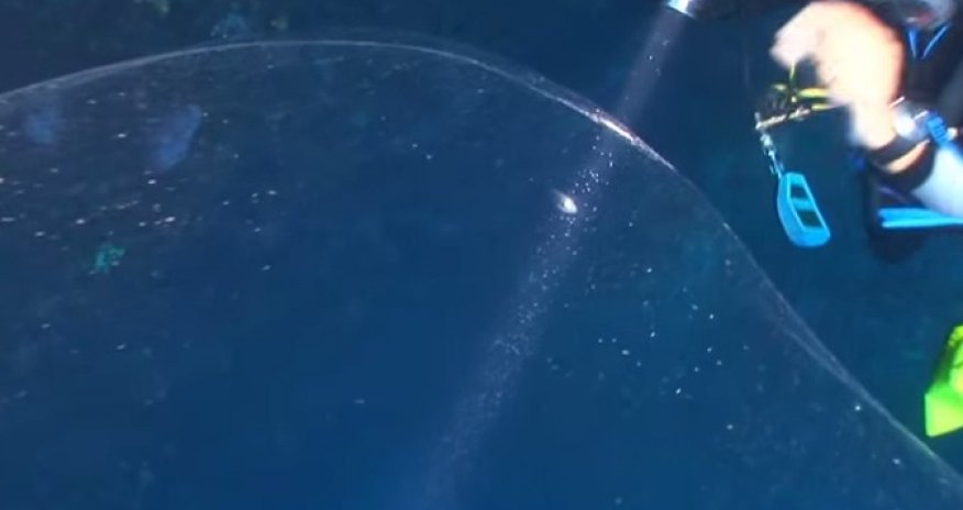 В Tурецких водах обнаружили необъяснимое явление