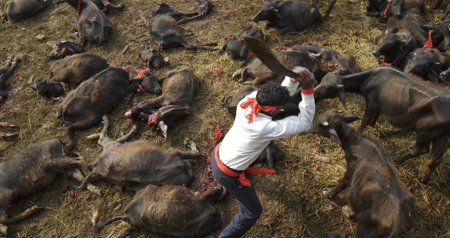 The death of Nepal's killing fields