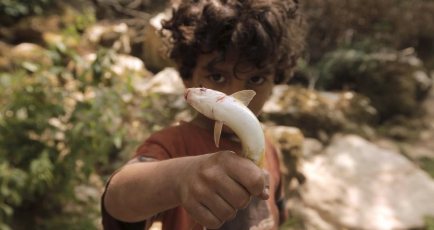 Life after Syria for a family that fled to Lebanon