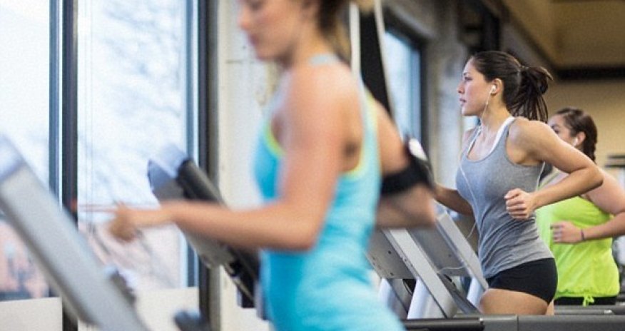 Cardio vs weight training?