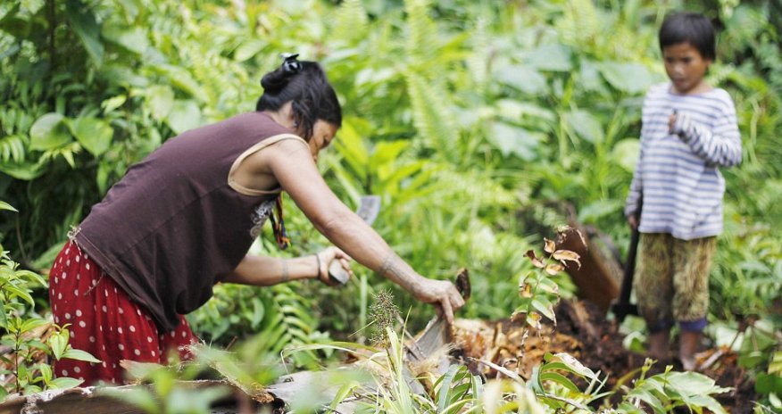 Life with the tattooed Indonesian tribe