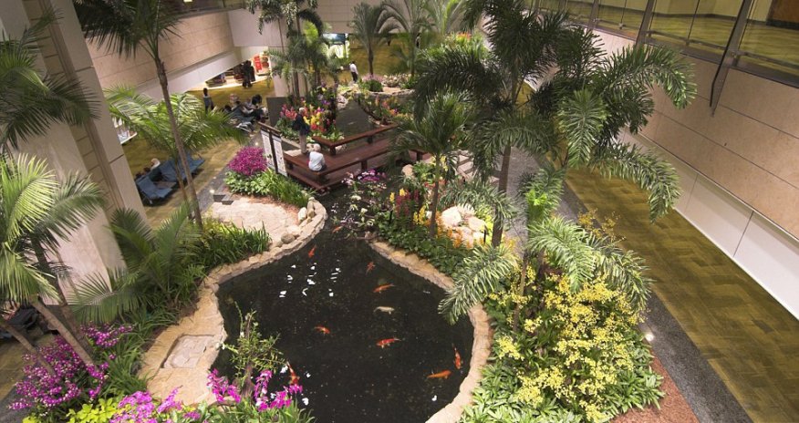 Best airports in the world revealed