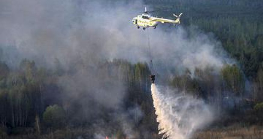 Shahdagh national park on fire