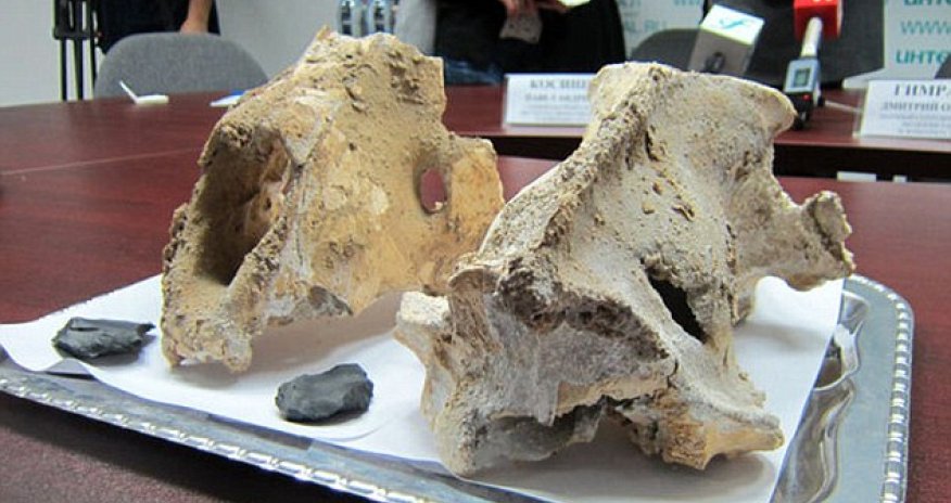 Sacred cave where GIANT LIONS were sacrificed 60,000 years ago discovered in Russia