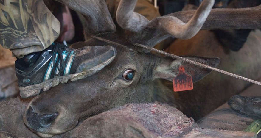 Enter the cutting room