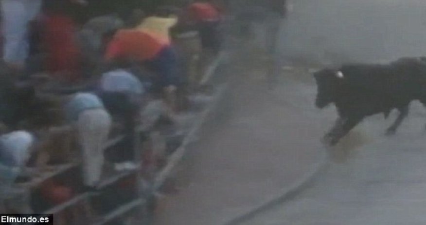 Shocking moment 63-year-old is gored in the heart by a bull