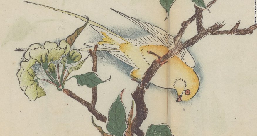 Inside the world's oldest multicolor printed book