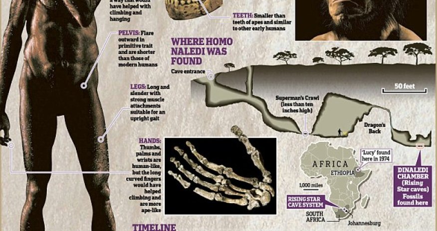 Is this the first human?