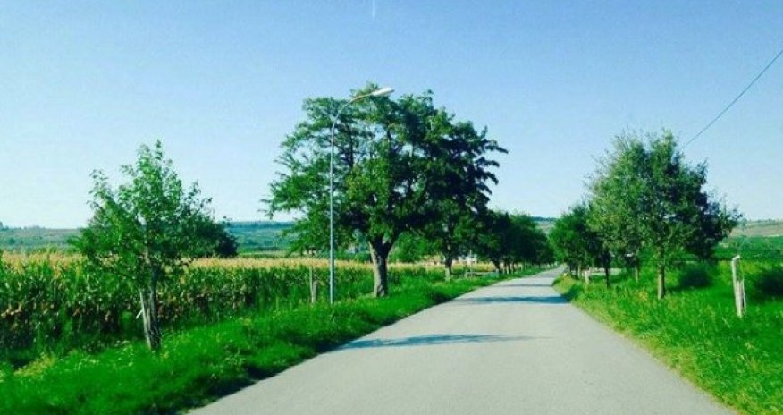 Kəndlər əslində necə olmalıdır? - REPORTAJ