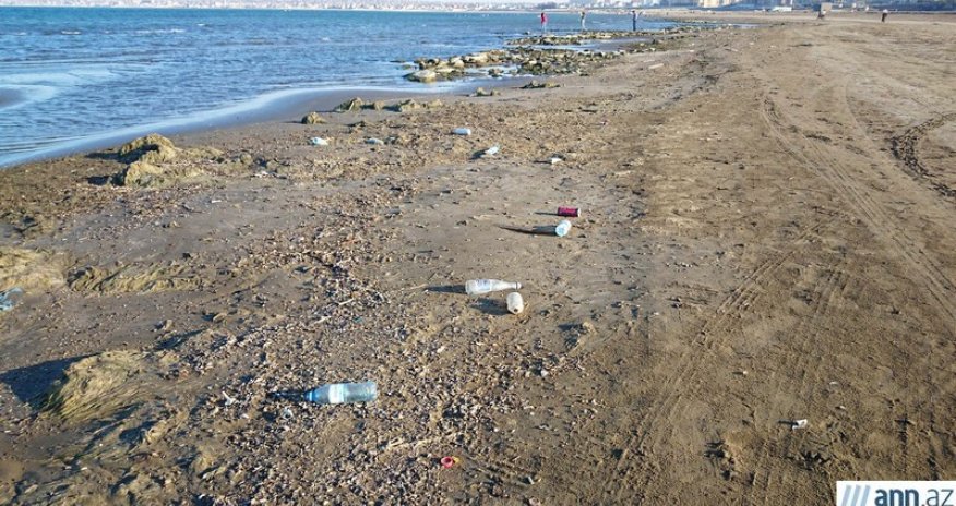 Dənizə gedən yol zibillikdən keçir - FOTOLAR