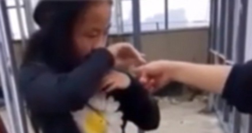 Girl being brutally beaten for THREE HOURS