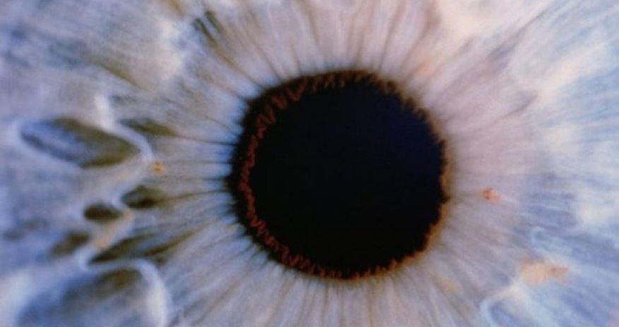 How can scientists 'cure' blindness?