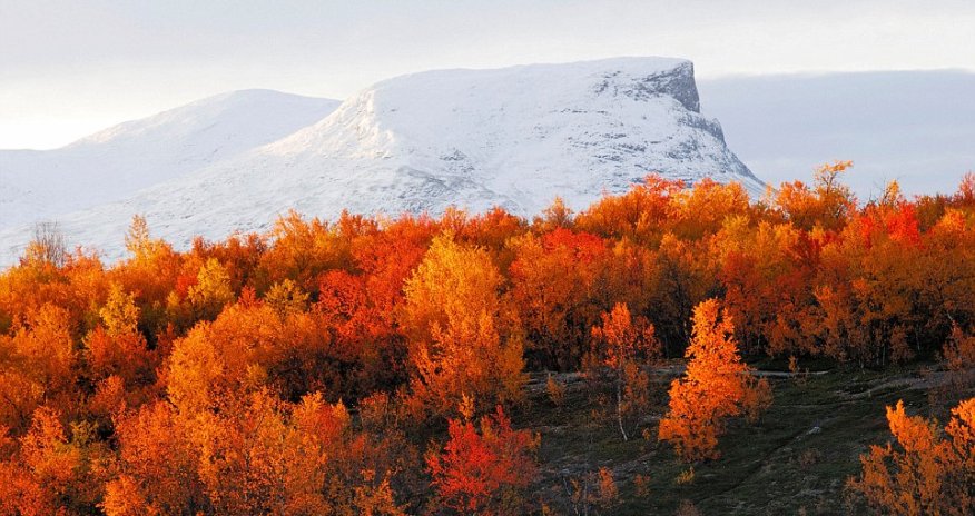 These are the places where autumn leaves look the most magical
