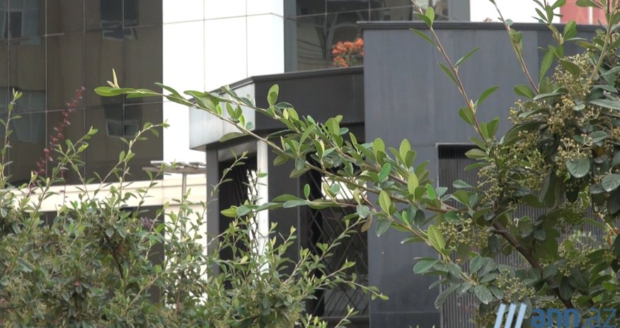 В ОБЪЕКТИВЕ: Метро без вентиляции?