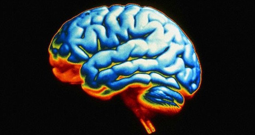 How healthy is YOUR brain?