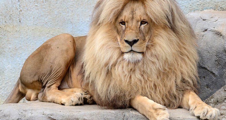 He obviously takes pride in his appearance