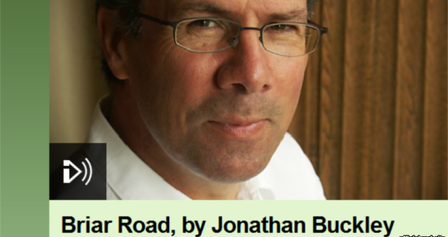 BBC 2015-ci ilin ən yaxşı Britaniya hekayəsini seçdi