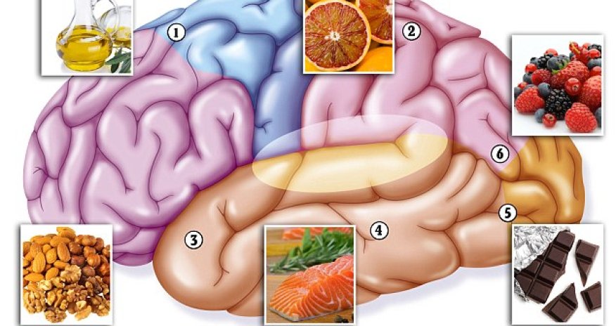 Scientists prove you CAN eat your way to a sharper mind