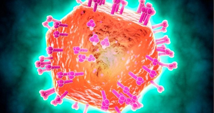 HIV breakthrough could lead to a CURE