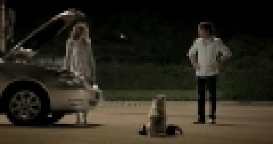 РАЗНОЕ: Собачья верность  