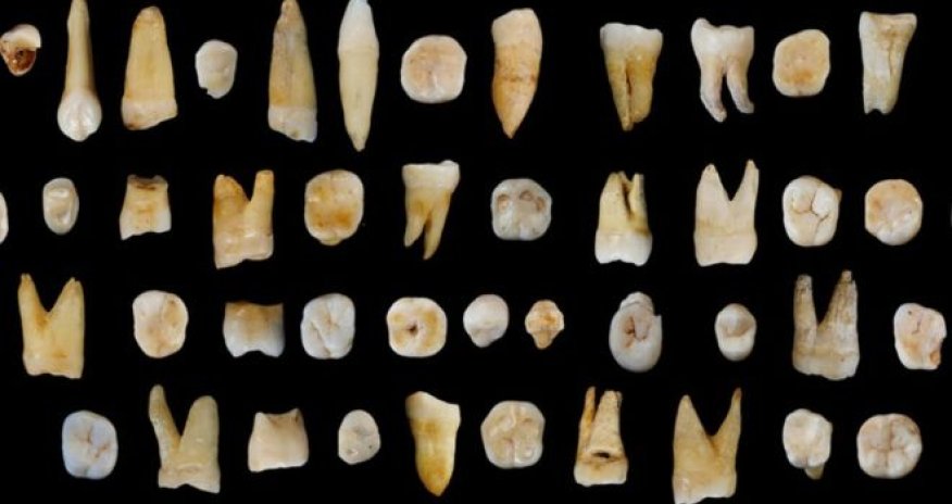 Fossil teeth place humans in Asia '20,000 years early'
