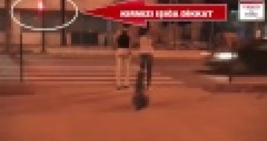 РАЗНОЕ: Собака оказалась умнее двух девушек