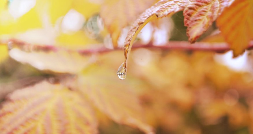 Baku weather forecast for Oct.17